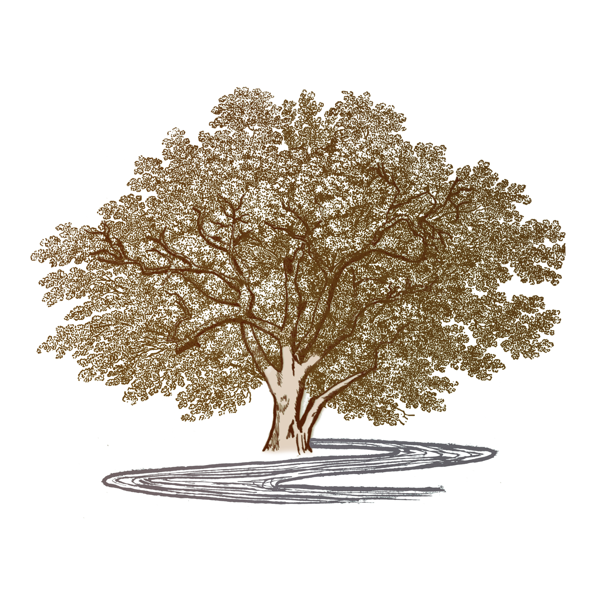 The Sycamore Institute's Annual Forum - logo